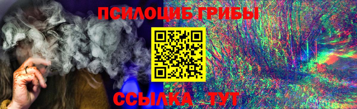 Нововоронеж  Галлюциногенные грибы прущие грибы  Вход с VPN 