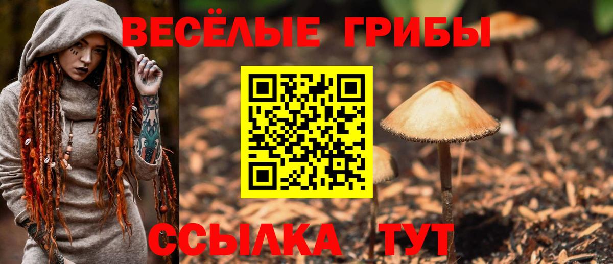 Галлюциногенные грибы мицелий Нововоронеж