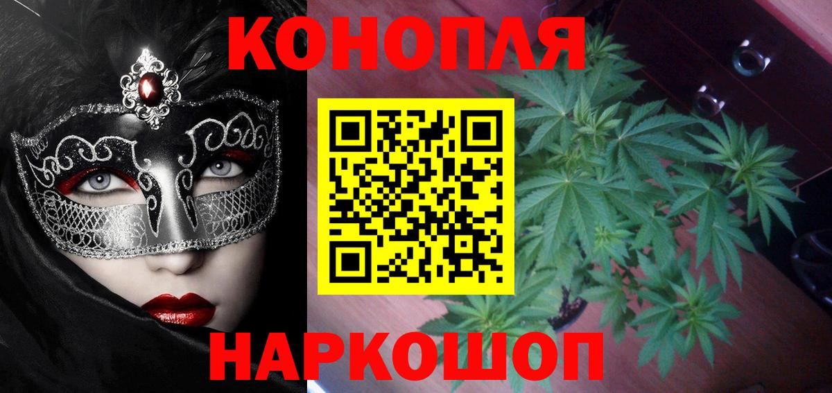 Конопля Нововоронеж